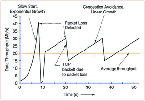 IP Graph